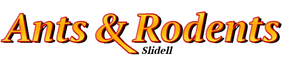 Slidell Ant Exterminator & Rodent Control Company Logo
